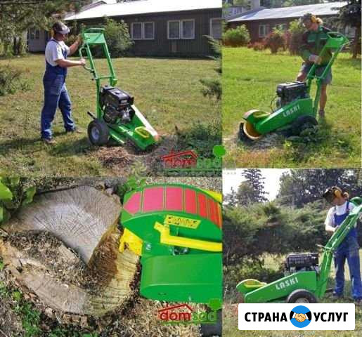 Измельчение пней / фрезеровка пней / удаление пней Петрозаводск - изображение 1