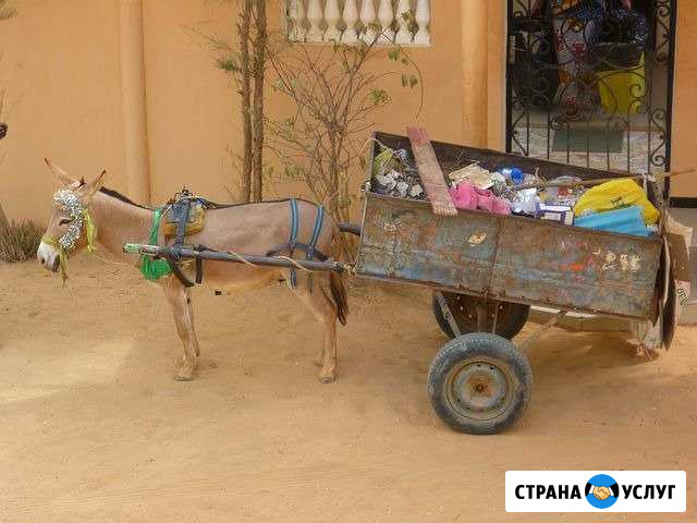 Вывоз строительного мусора Нижневартовск - изображение 1