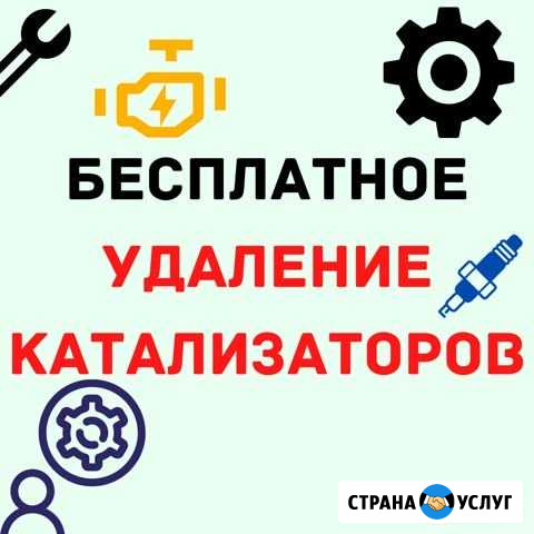 Удаление катализаторов Старый Оскол - изображение 1