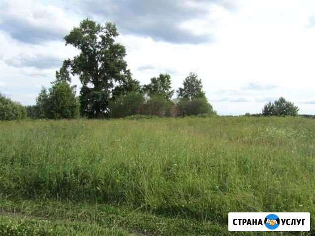 Покос травы Череповец - изображение 1
