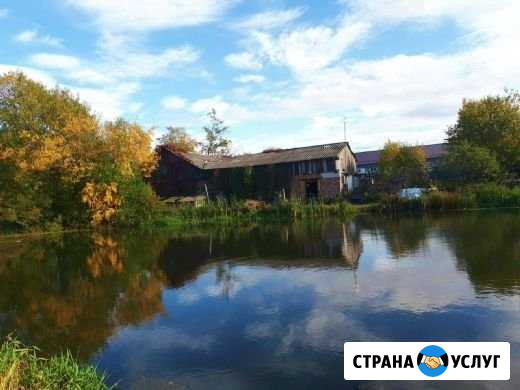 Предлагаем постой для лошадей в п. Щеглово Щеглово - изображение 1