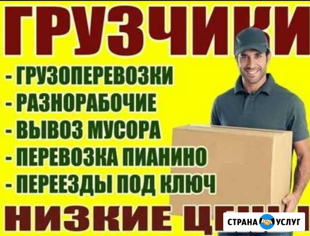 Грузоперевозки Выборг - изображение 1