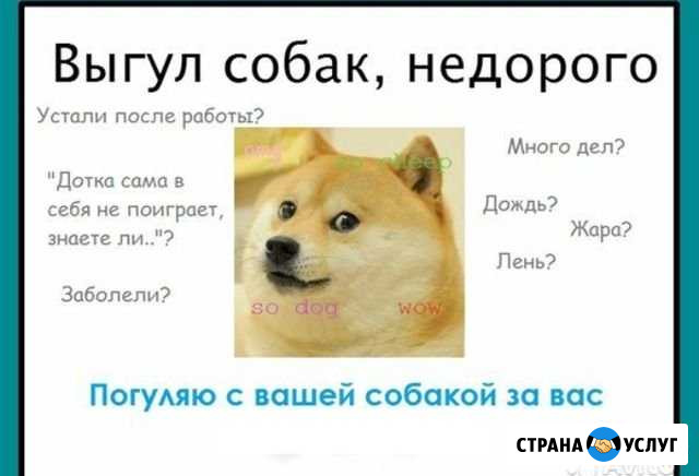 Выгул собак Самара - изображение 1
