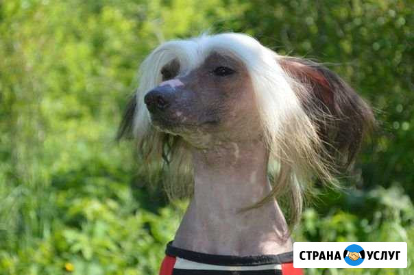 Вязка Златоуст - изображение 1