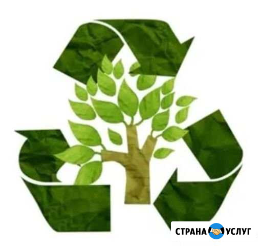Комплексное лесное проектирование Хабаровск - изображение 1