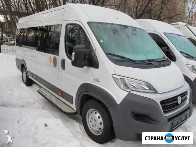 Пассажирские перевозки Новодвинск - изображение 1