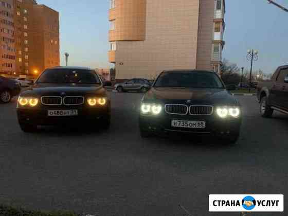 BMW mini диагностика ремонт запчасти чип тюнинг Белгород