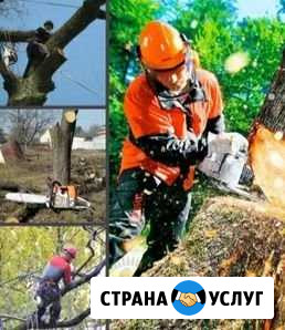Спиливание деревьев Чкаловск - изображение 1