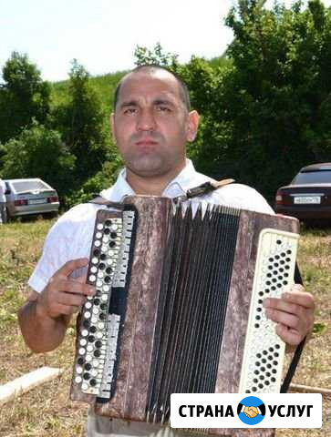 Баянист-певец,певица Казань - изображение 1