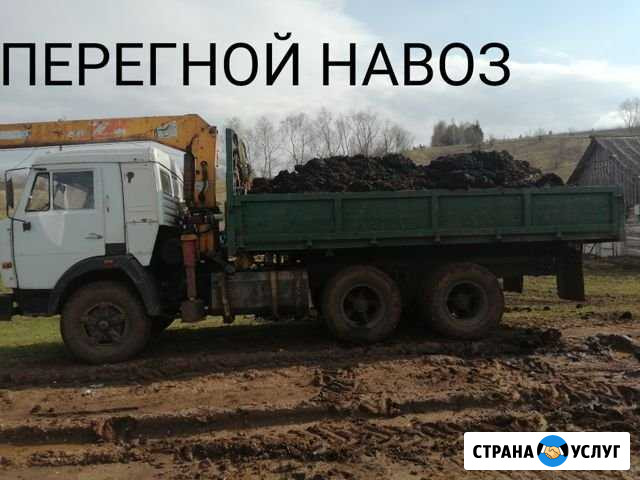 Доставка навоза, перегноя Бирск - изображение 1