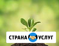 Перегной, земля, чернозём Абакан - изображение 1