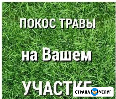 Покос травы,скос Тольятти - изображение 1