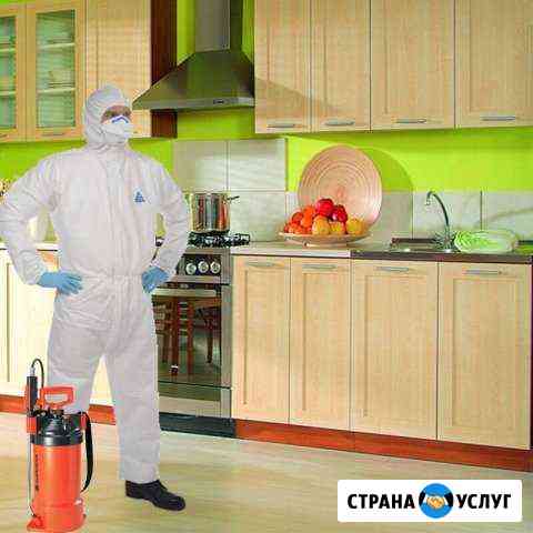 Уничтожение насекомых.Дезинсекция.Клопов,тараканов Магнитогорск