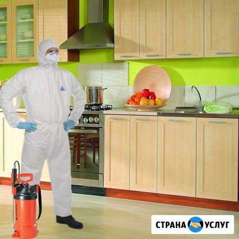 Уничтожение насекомых.Дезинсекция.Клопов,тараканов Магнитогорск - изображение 1