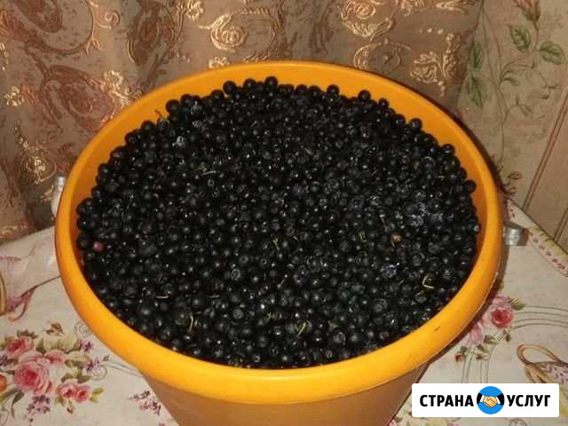 Продукты питания Саратовская - изображение 1