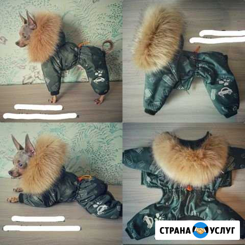 Пошив одежды для собак Набережные Челны - изображение 1