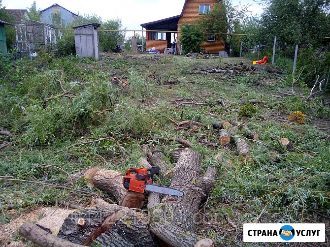 Уборка участка, территории от мусора. Спил. Корчевание. Вывоз мусора Барнаул - изображение 2