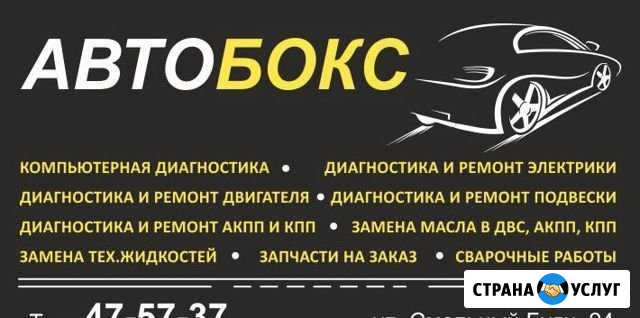 Диагностика ремонт авто Архангельск - изображение 1