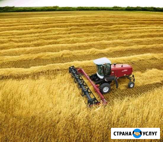 Предоставляю услуги самоходной косилки Красный Яр - изображение 1