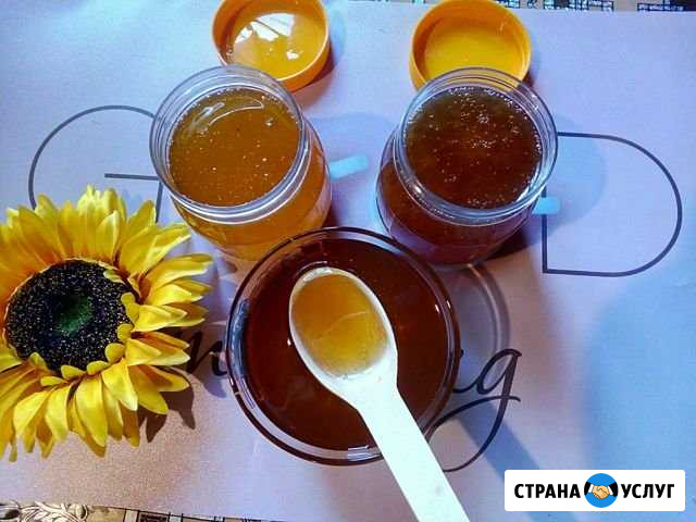 Мёд Инжавино - изображение 1