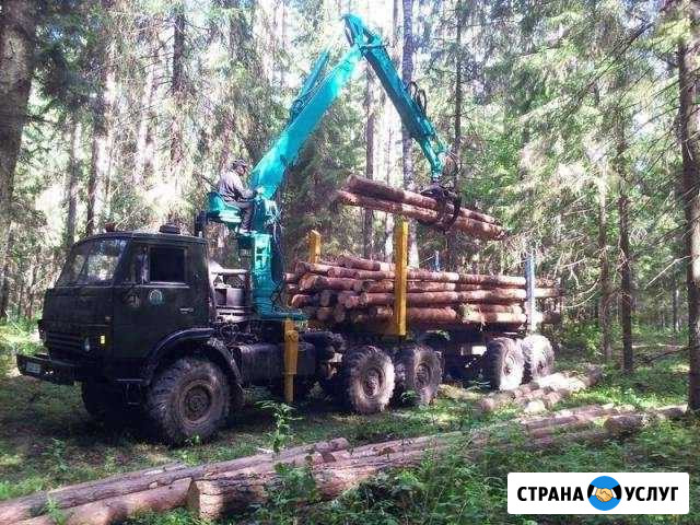 Услуги фискарса Котельнич - изображение 1