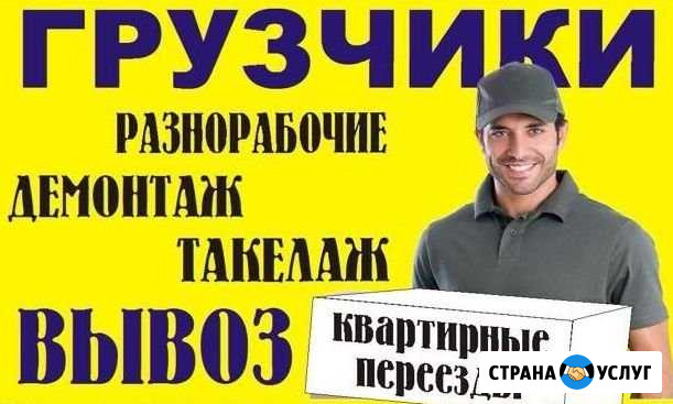 Грузчики, разнорабочие Ульяновск - изображение 1