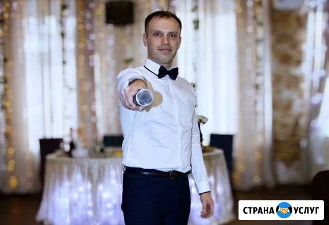 Саксофонист/вокалист/диджей/ведущая/тамада Бийск - изображение 1