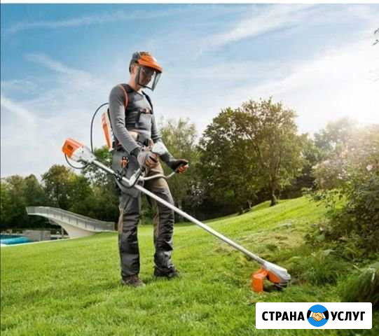 Откос травы Благовещенск - изображение 1
