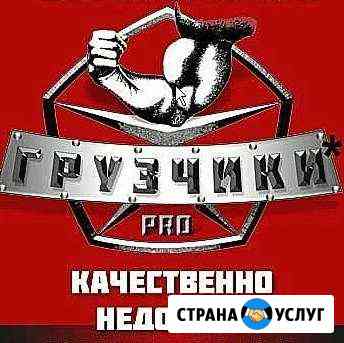 Грузчики,грузотакси,вывоз мусора,грузоперевозки Армавир
