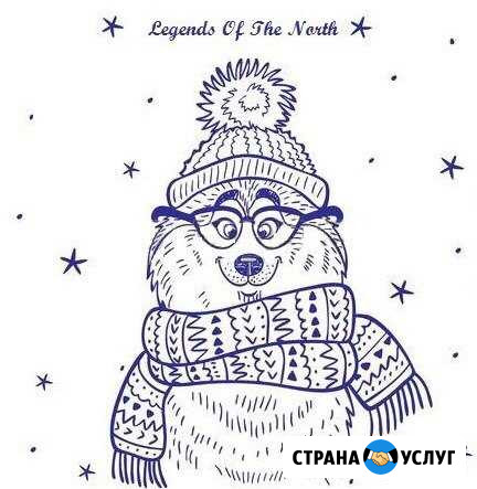 Передержка собак Магадан - изображение 1