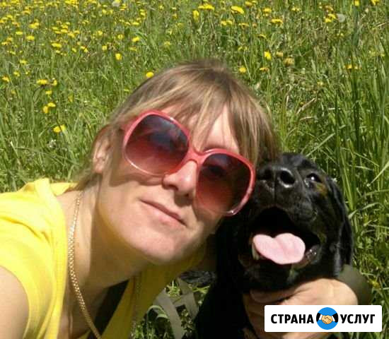 Передержка для ваших питомцев Прокопьевск - изображение 1
