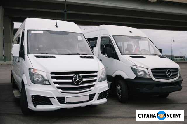 Микроавтобус на свадьбу Mercedes Sprinter Сестрорецк - изображение 1