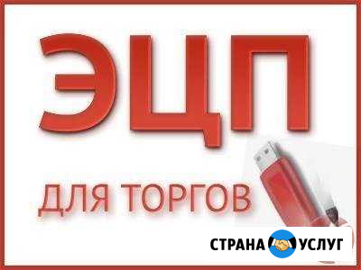 Эцп для участия в электронных торгах(тендерах) Набережные Челны - изображение 1