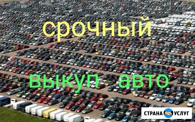 Срочный выкуп любых автомобилей.Аренда Динская - изображение 1