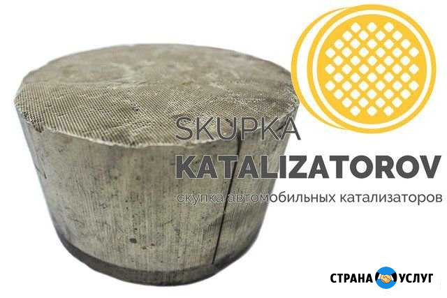 Скупка выкуп катализаторов дорого Челябинск - изображение 1