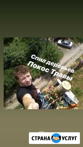 Спил Деревьев Уборка Участков покос травы Ростов-на-Дону - изображение 1