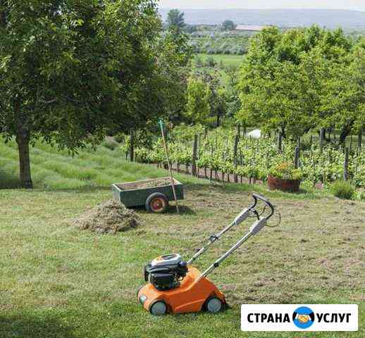 Сад Благоустройство Ейск