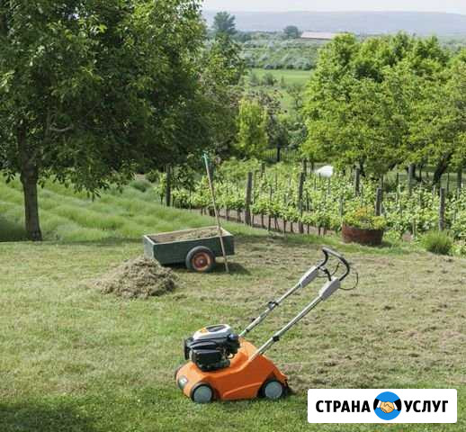 Сад Благоустройство Ейск - изображение 1