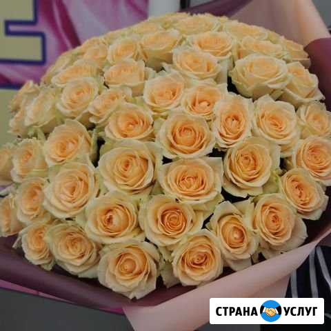 Продажа цветов Симферополь - изображение 1