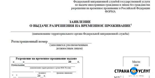 Заявление на рвп внж гражданство РФ и другое Воронеж - изображение 1