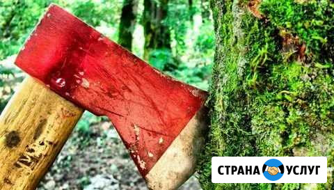 Спил деревьев,кустов,покос травы Смоленск - изображение 1