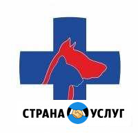 Ветеринарная клиника 24 часа Петрозаводск - изображение 1