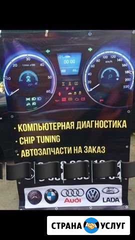Диагностика, удаление катализатора, прошивка Усть-Джегута - изображение 1