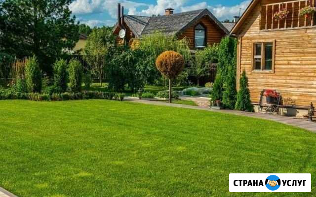 Рулонный газон,посев газон Домодедово - изображение 1