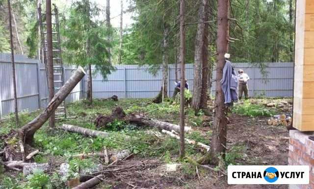 Расчистка дачных участков Сочи - изображение 1