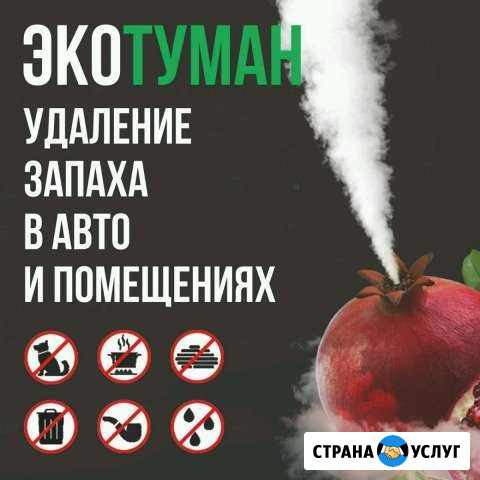 Удаление запахов, ароматизация методом Экотуман Волгоград - изображение 1
