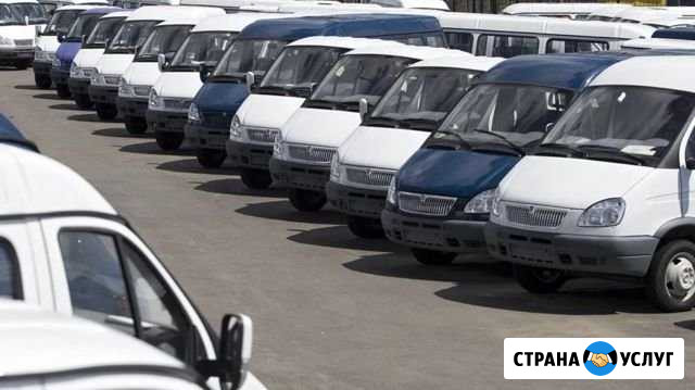 Заказ микроавтобусов Газель 8-13 мест Пермь - изображение 1