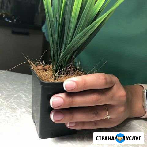 Маникюр покрытие ногтей гель-лаком Йошкар-Ола - изображение 1