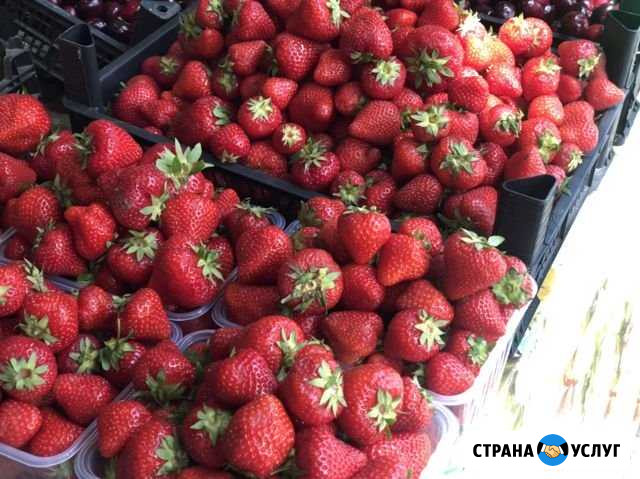 Доставка свежих овощей и фруктов Геленджик - изображение 1