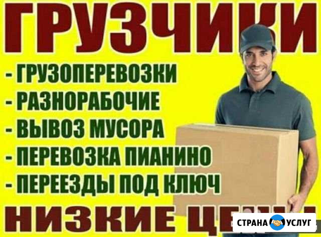 Грузчики Щекино - изображение 1